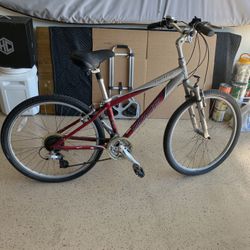 Specialized Expedition Bike Size M