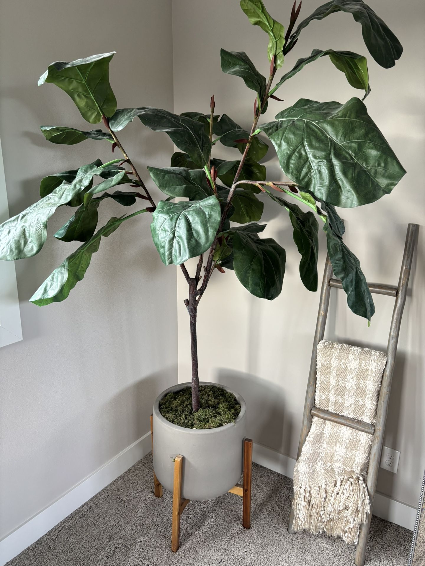 Plant with (stand/pot)