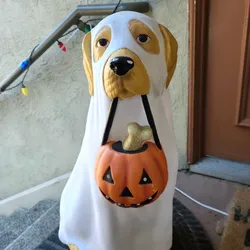 Light up golden retriever Halloween statue