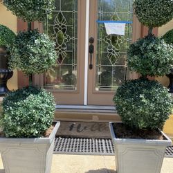 Very  Beautiful2 Puts with the plant for both