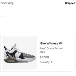 LeBron Nike Witness VII