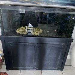 55 Galon Fish Tank And Stand