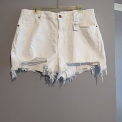 NWT_ LOFT_ The Curvy High Waist Cut Off Shorts-size 14/32