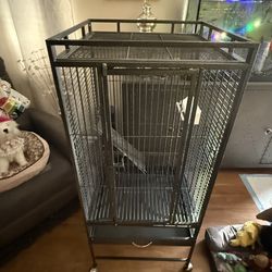 Bird Cage
