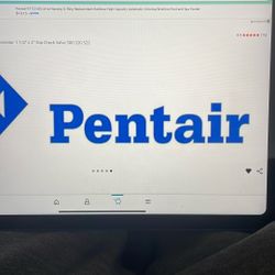 BRAND nEW Pentair Rainbow chlorinator