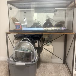 40 Gallon Reptile Tank, Slide Top, Lights Bags,