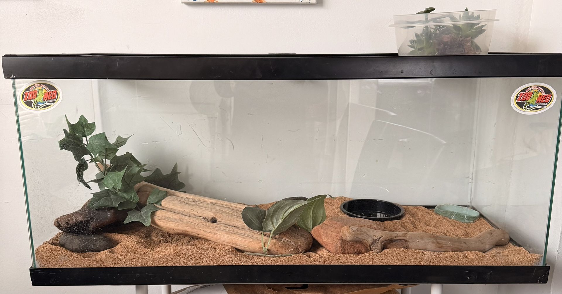 20 Gal Tank For Reptiles