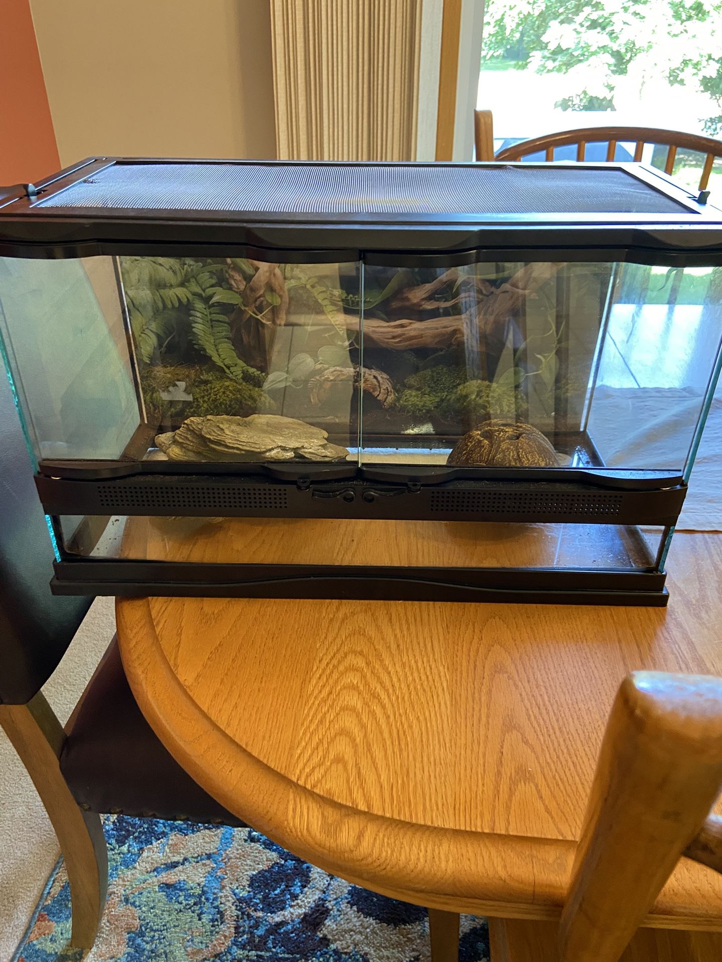 Reptile Tank 10 Gallon