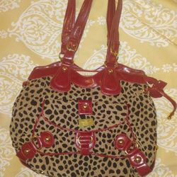 Woman's Bag 