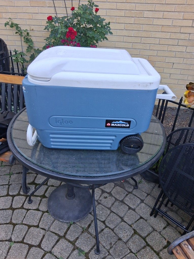 Igloo cooler 