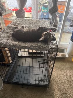 Crate
