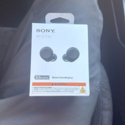 Sony earbuds 