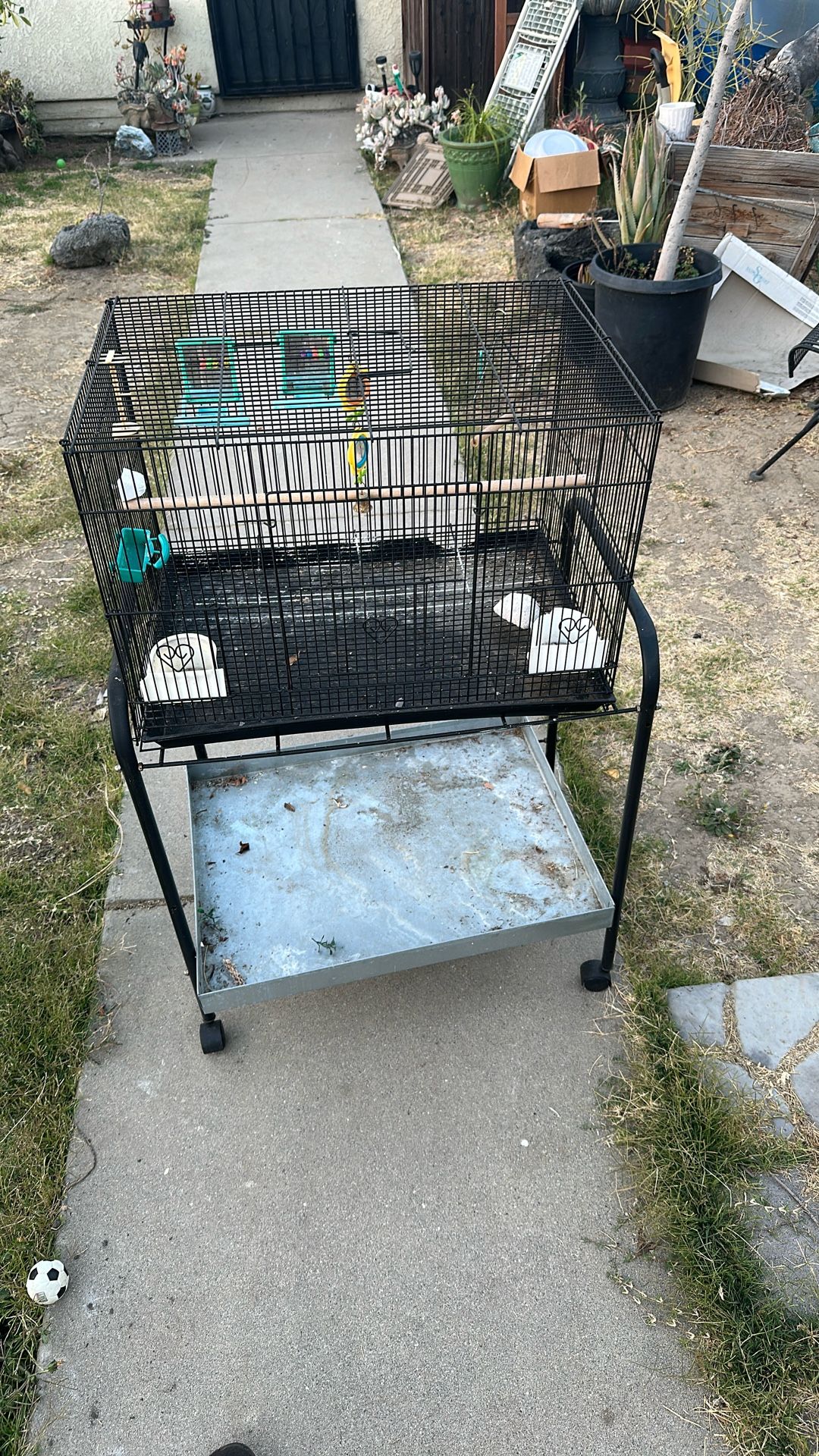 Bird Cage