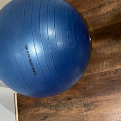 Exercise/Yoga Ball