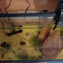 Fish Tank With Heater, Filter And Aquarium Sand