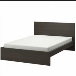 Malm IKEA Queen Bed Frame