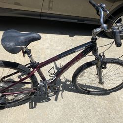 Trek Navigator 2.0 Woman Bike 