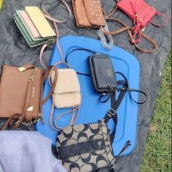 Purse Clean Out , Take All For $5