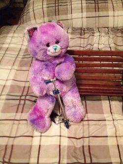 Build a bear with scooter