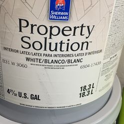 Pintura Y Primer One 