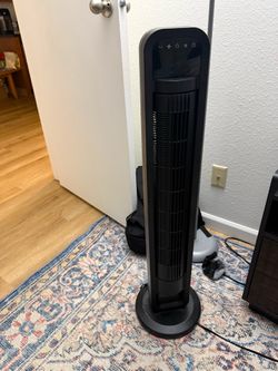 Fan