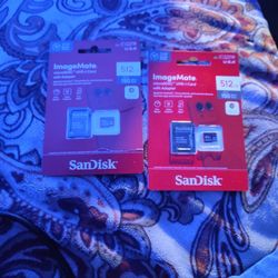 1TB 2x512GB SanDisk MicroSD Cards