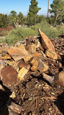 Firewood/knots/odd Pieces