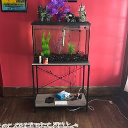 Fish Tank And Accessories 