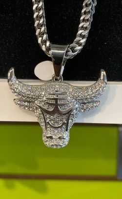 Stainless Steel BULL Charm and Franco 30” Chain Set