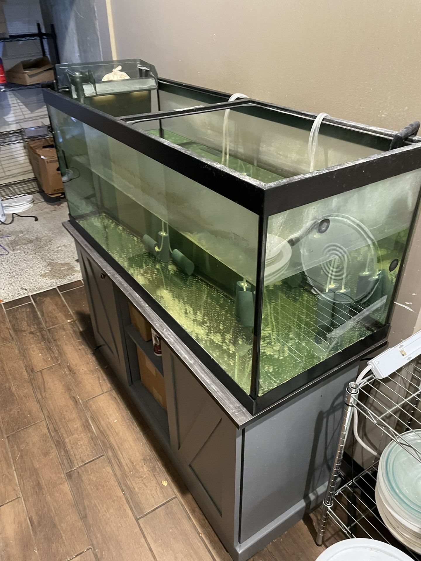 75 Gal Fish Tank And Base Plus Accessories 