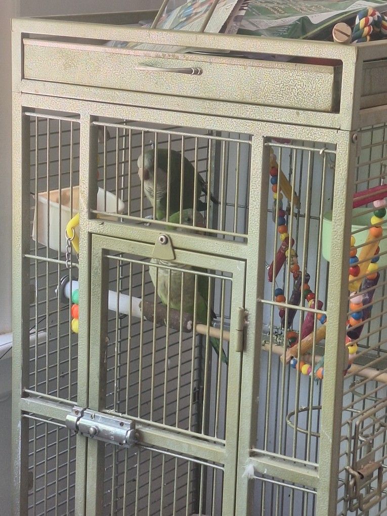 cockatoo cage