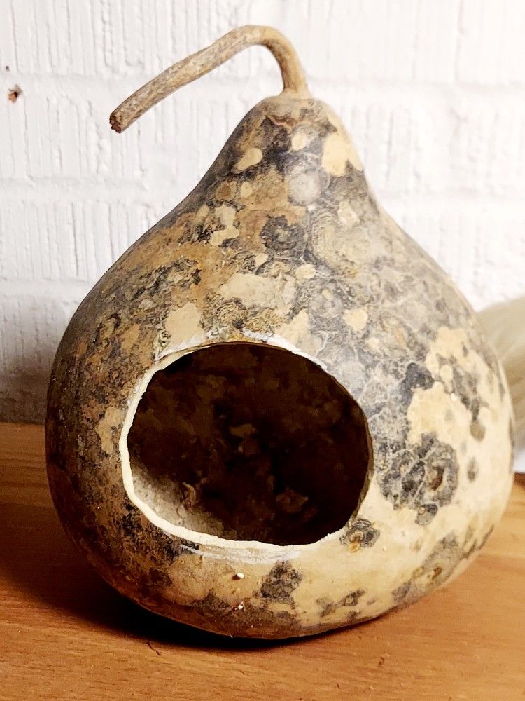 small pet all natural house    rats birds reptiles 