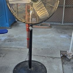 Fan