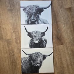Highland cow canvas set