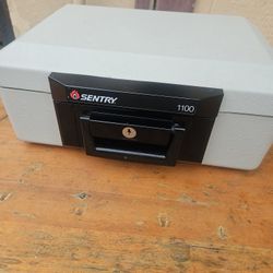 Sentry 1100 Safety Box 