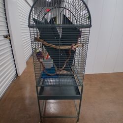 Bird Cage