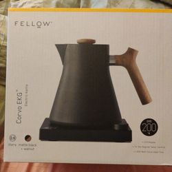 Electric Tea Kettle 