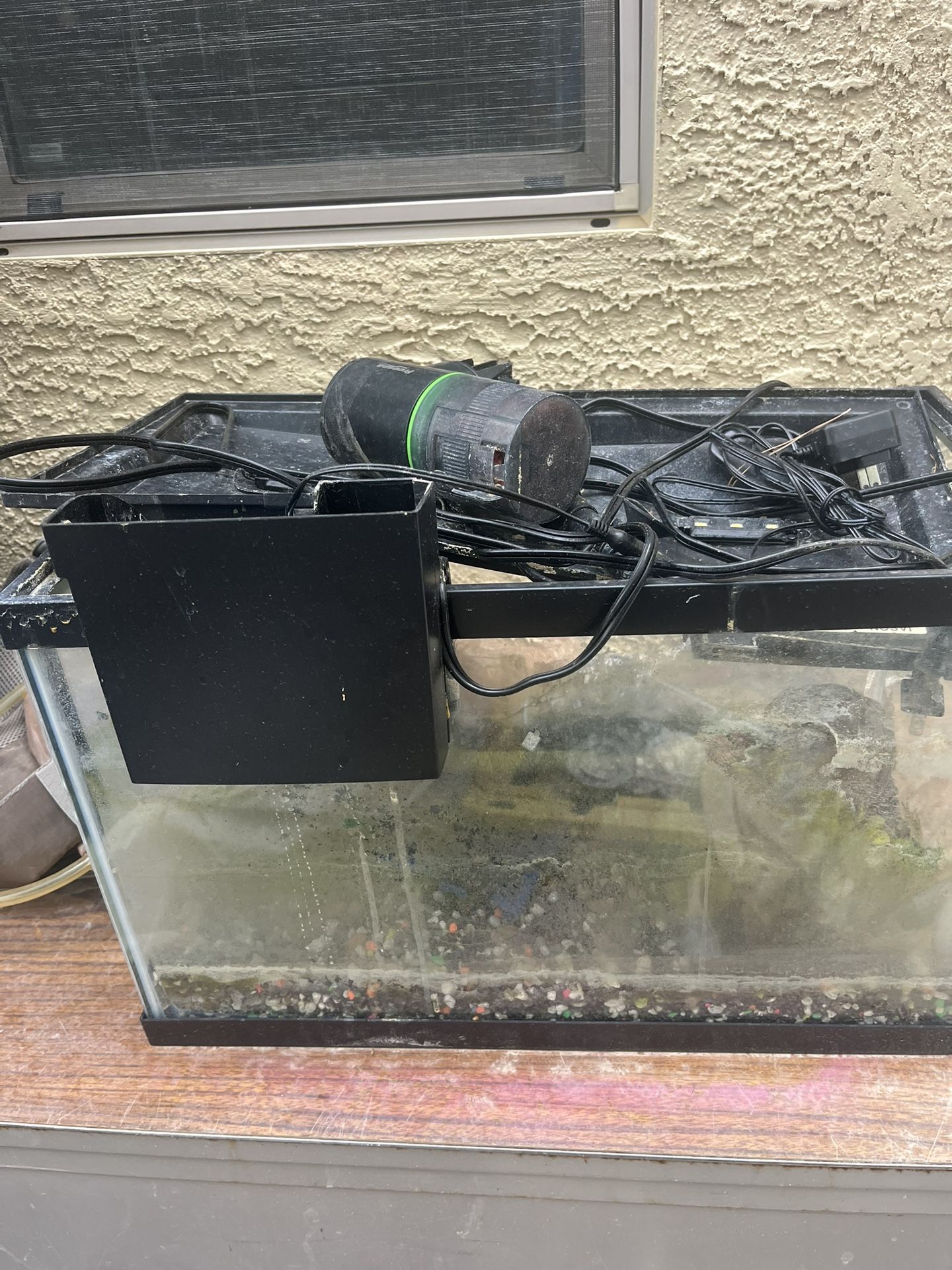 Fish Tank