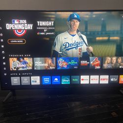 Vizio 48’-52’ in TV