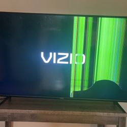 New Tv 55 Inch Vizio Broken Only Been 2 Months 