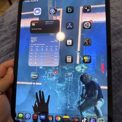 iPad Pro M4 256GB Verizon+Wi-Fi with Case