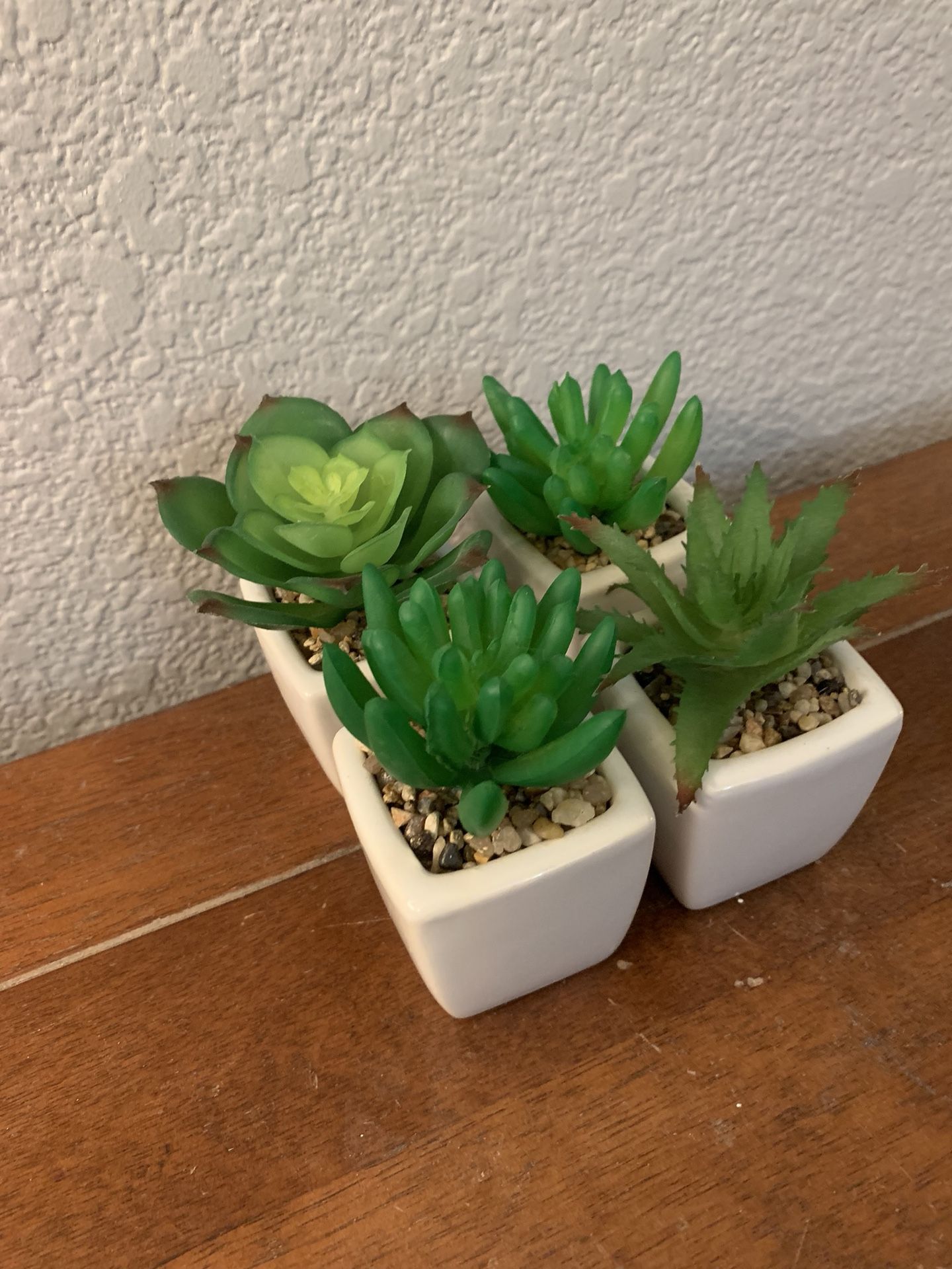 Mini Artificial Succulents