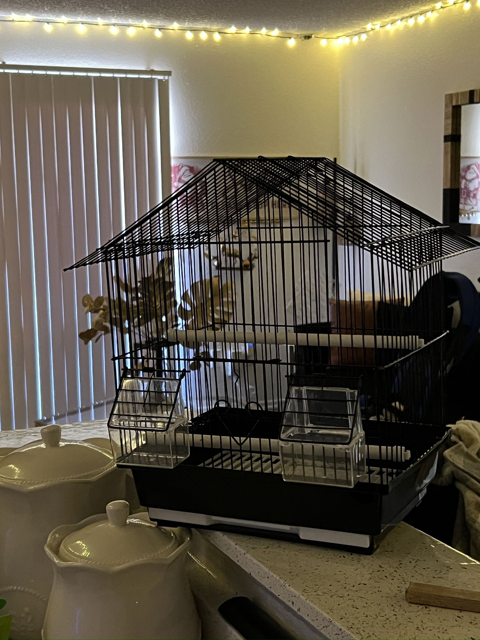 Bird Cage 