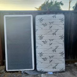 XL Twin Bed With Box Spring