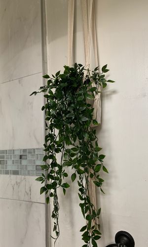 New And Used Plant Pots For In Los Angeles Ca Offerup