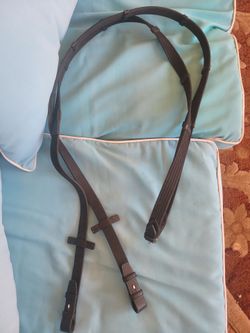 Horse bridle, leash, leads, & more