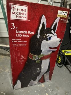 Christmas Out Door Light Decor