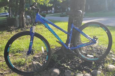 Schwinn GTX 2 women's