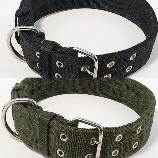 2 Inch Wide 4ply Nylon Dog Collars