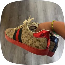 Gucci Ace Shoes
